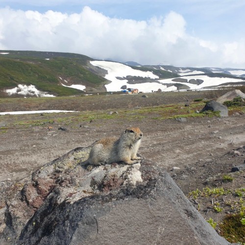 Активный отдых на Камчатке в мини-группе: треккинги, сплавы, квадроциклы