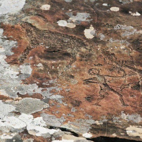 Насыщенное авто-пешее путешествие по Горному Алтаю