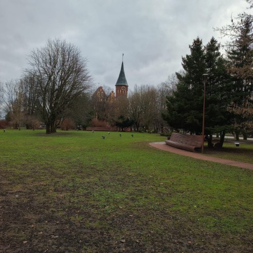 Встречай, янтарный край: индивидуальное путешествие по городам Калининградской области