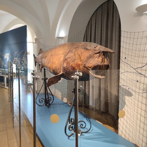 Главное в Казани и Свияжске: автобусно-пешеходный тур