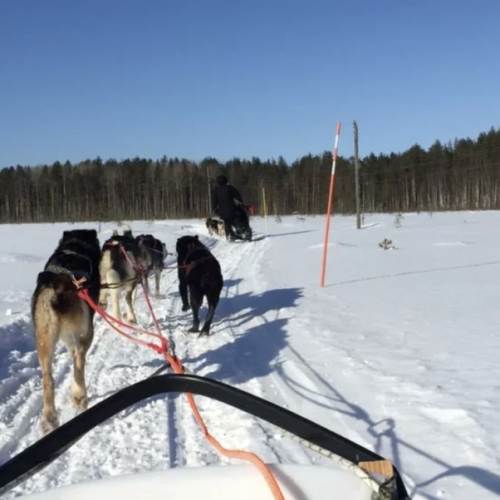 Встречаем Новый год в Карелии: экскурсии, праздничная программа и отдых в загородном отеле