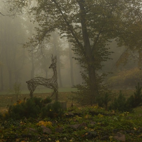 Из Петербурга вокруг Ладоги: Приозерск, Куркиёки, Сортавала, Олонец