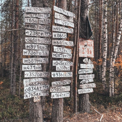 Детокс в Карелии: место силы, дары леса и походная романтика (всё включено)