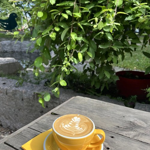 Петербург для жаворонков, или Утренняя прогулка по Петроградской стороне