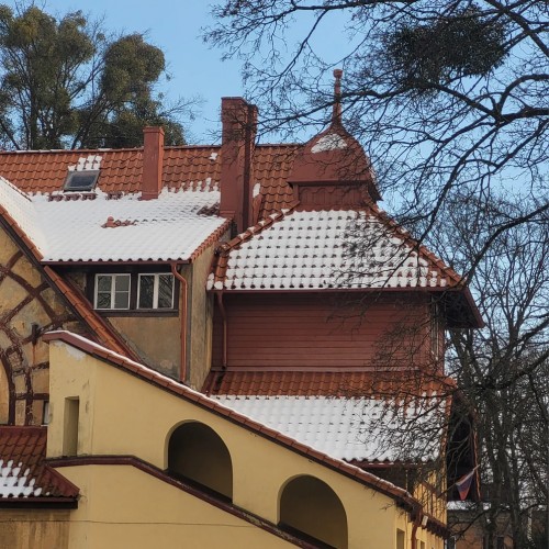 Современный взгляд на Амалиенау