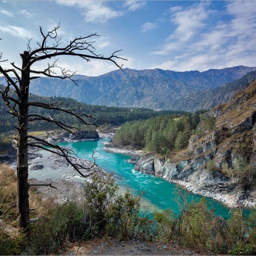 Путешествие в Чемал: открыть природу Горного Алтая