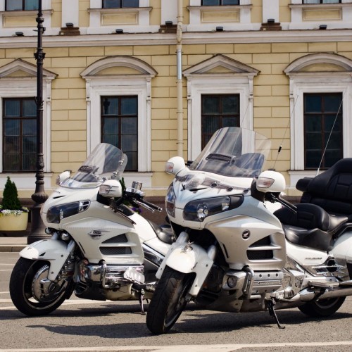 Californication по-питерски