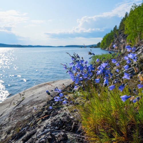 Индивидуальные выходные в Приладожье: Сортавала и окрестности