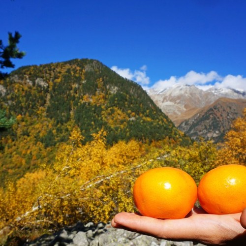 Семейный треккинг в Дигории с размещением в гостинице