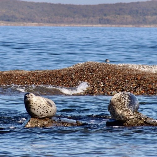 Морское путешествие по островам Японского моря