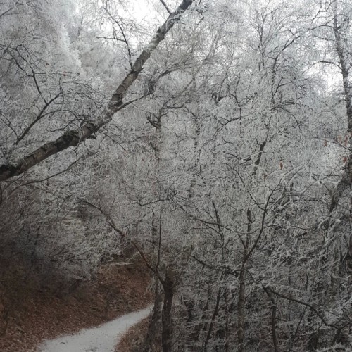 Выходные в Дагестане с местным жителем на джипе: топовые локации в мини-группе