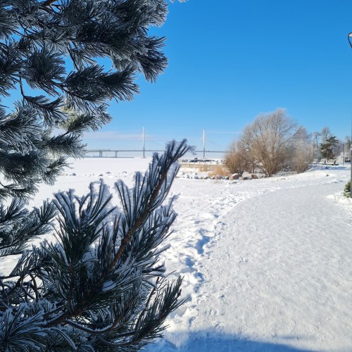 Новый облик Петербурга: от «Лахта-центра» до копии корабля петровского времени