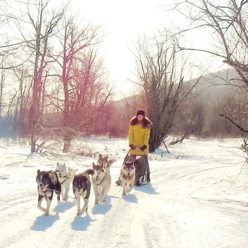 В мини-группе на Камчатку всей семьёй: вулканы, термальные источники и погружение в быт