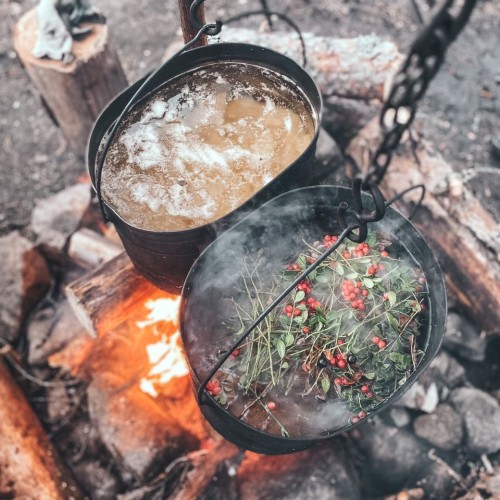 Детокс в Карелии: место силы, дары леса и походная романтика (всё включено)