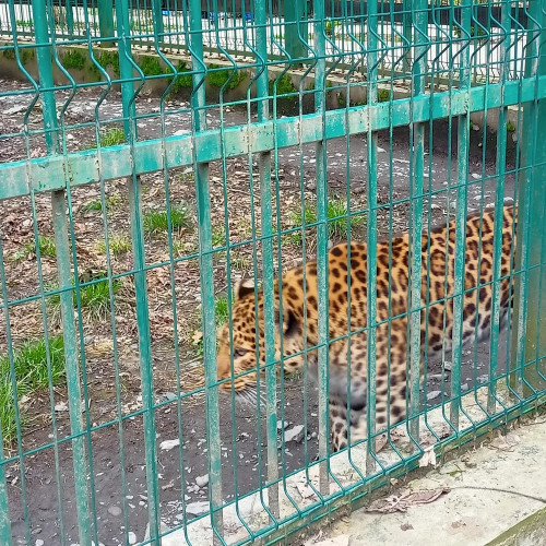 Экоцентр «Лаура» — знакомство с природой Кавказа