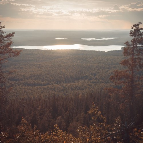 Поход-перезагрузка среди дикой природы Карелии в мини-группе (из Санкт-Петербурга)