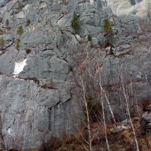 Красоты Чемала и Зачемалья — из Горно-Алтайска