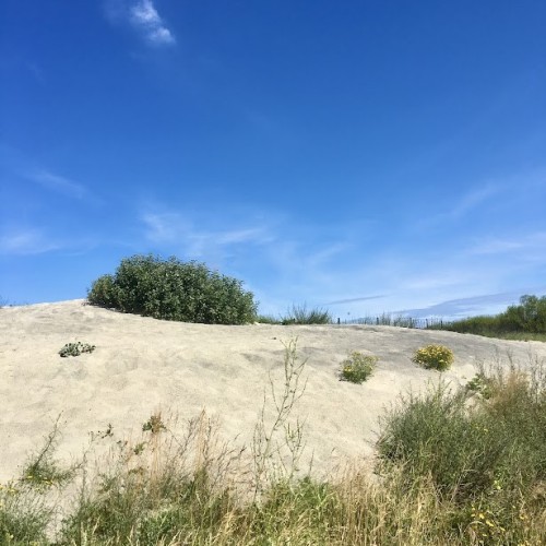 Новые грани Калининграда: необычные экскурсии и нетуристические маршруты