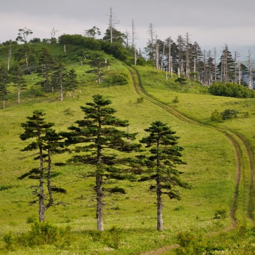 Шикотанский трип: тур по главным островным достопримечательностям