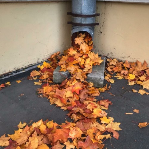 Дорогами Достоевского в Петербурге