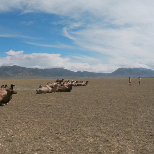 Ваше идеальное путешествие по Горному Алтаю: тур-конструктор