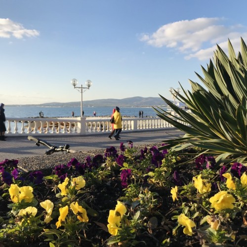 На одной широте с виноградниками Италии: гастропутешествие по винодельням Краснодарского края