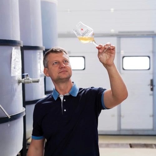 На сидрерию из Петербурга: авторская экскурсия + дегустация