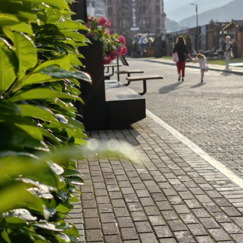 Трансформация в горах Сочи: практики с психологом, пикник, наблюдение за звёздами и фотосессия