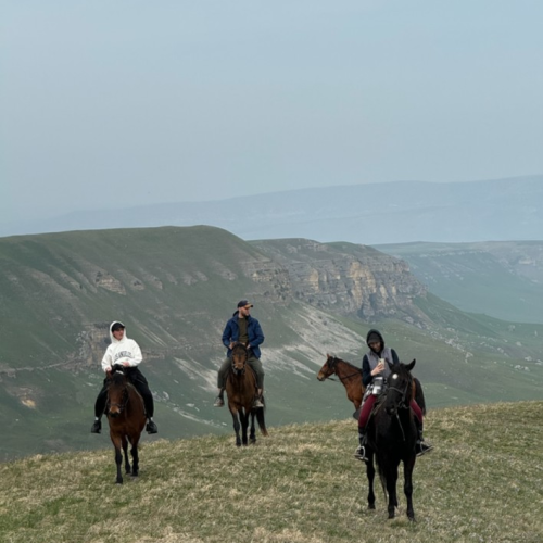 Галопом по Карачаево-Черкесии: конный выезд для опытных всадников