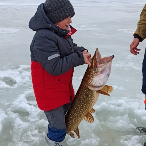 Рыбалка на Ладожском озере: перезагрузка вдали от города с комфортом (всё включено)