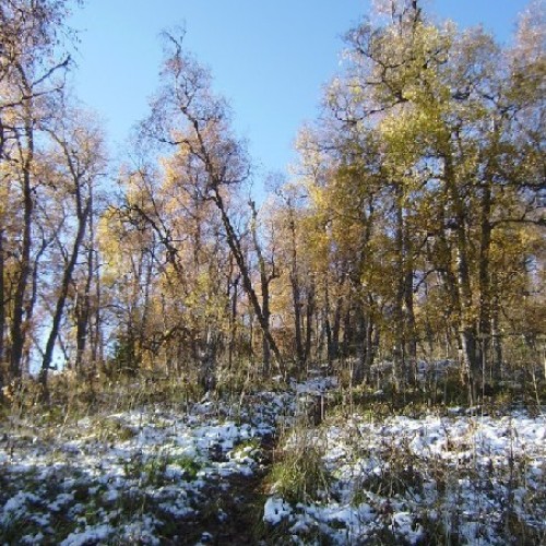 Поход на Большой Тхач