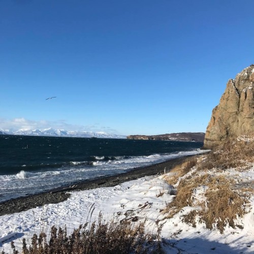 Туда, где дымятся вулканы, а вода исцеляет: неделя на Камчатке в мини-группе