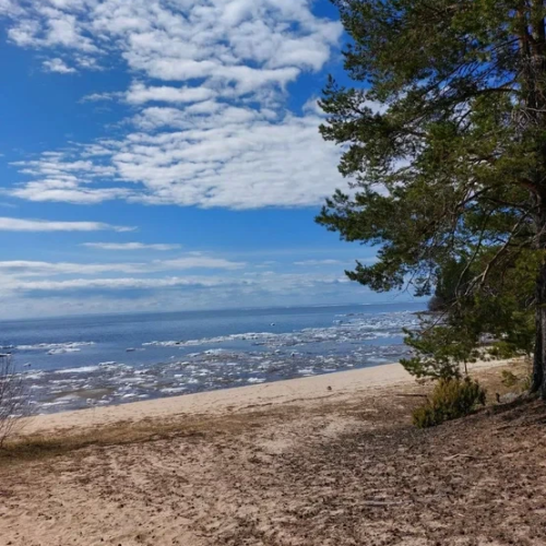 Из Санкт-Петербурга — в Вытегру: тур к Онежскому озеру