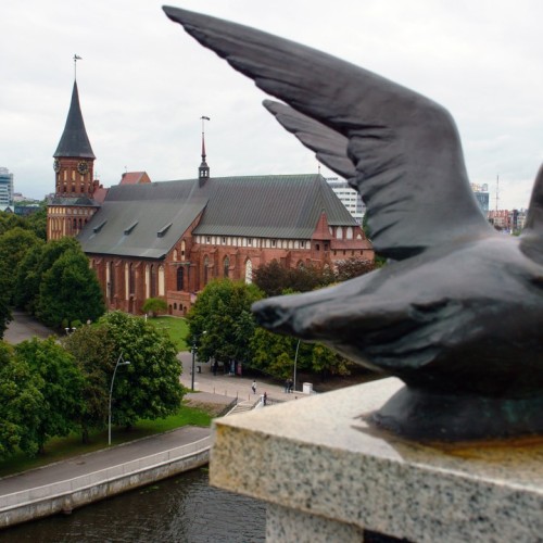 Необычные локации Калининградской области и ночь в средневековом замке