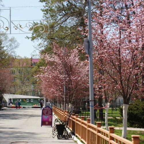 Сахалин, Кунашир и Шикотан: 2 недели на краю света