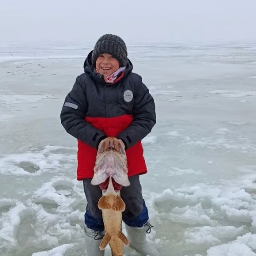 Рыбалка на Ладожском озере: перезагрузка вдали от города с комфортом (всё включено)