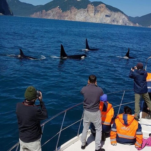 На Камчатке — вкусно есть: гастротур с рыбалкой и крабовой вечеринкой у океана