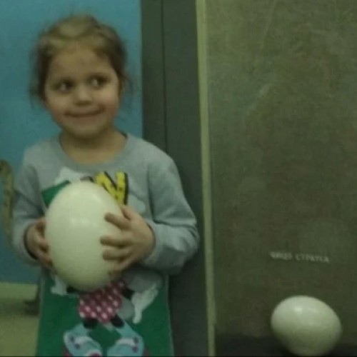 Зоологический музей для детей и взрослых