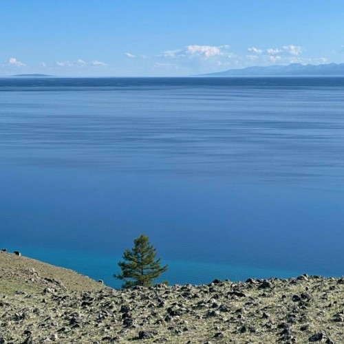 Два глубочайших озера-брата: путешествие на север Монголии и на Ольхон