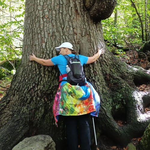 Выезд в Домбай на внедорожниках из Кисловодска: Гум-Баши, Мусса-Ачитара и Алибекский водопад