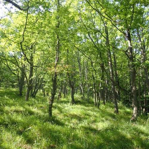 В Адыгею за походами, пещерами и древностями