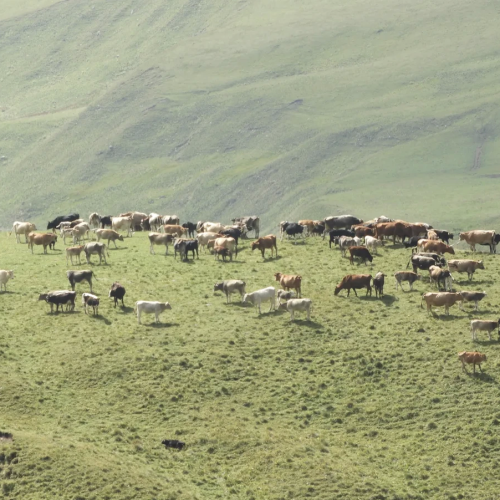 Обогнать солнце и подняться на вершину Пабаку: восхождение с фотосъёмкой