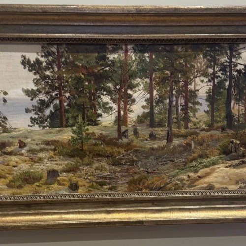 Экскурсия в Русском музее «Иван Шишкин: певец родной природы» (билеты включены)