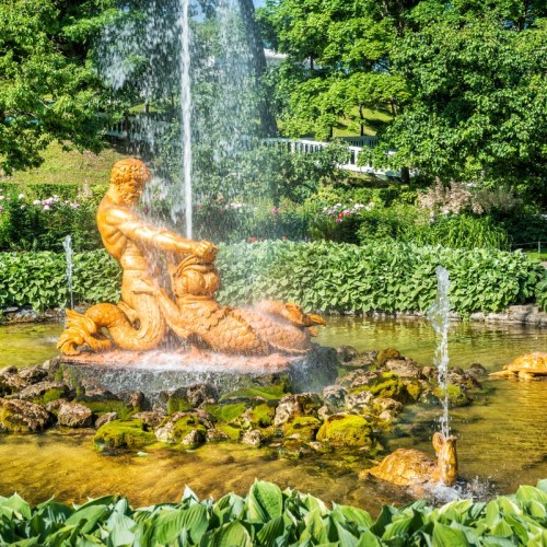 Петергоф от А до Я: метеор, Нижний парк и экскурсия в Большой дворец (билеты включены)