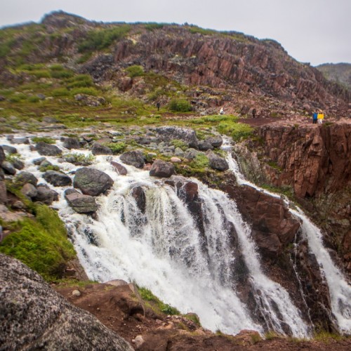 На Кольский в поисках китов и дельфинов мини-группой
