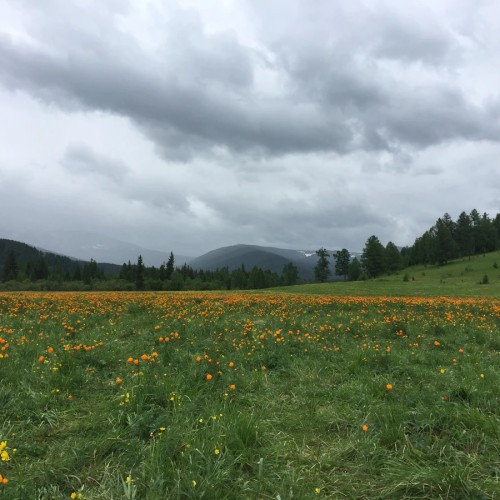 Каракольские озёра: жемчужное ожерелье Алтайских гор