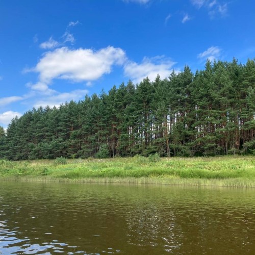 Детокс на Тверце: сплав на байдарках с посещением Торжка и «Василёво»