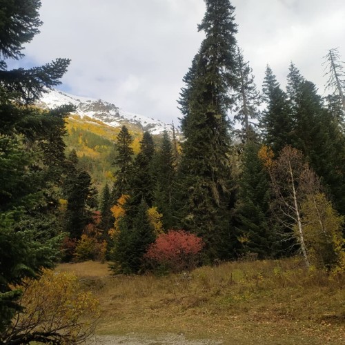 Природные и исторические сокровища Домбая и Архыза: джип-выезд в сердце Кавказа