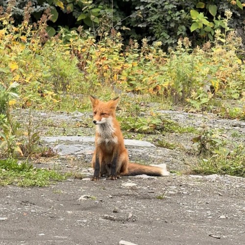 Там с коптера видны вулканы: экспедиция по Камчатке с выходом в море