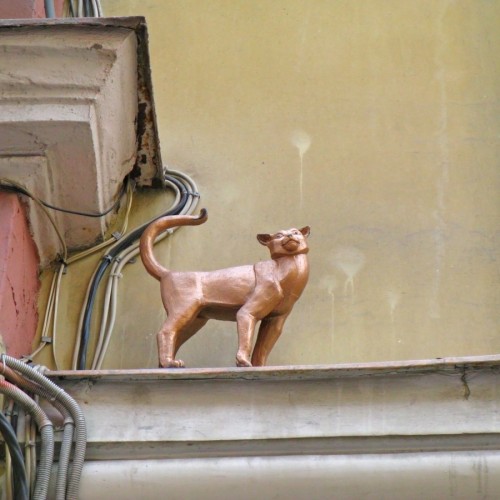 От кошек до слонов: семейное путешествие по Петербургу